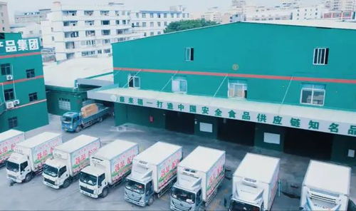 超市驚現(xiàn)老鼠啃食肉糜事件警示 企業(yè)食品安全管理與室內(nèi)環(huán)境治理的雙重防線